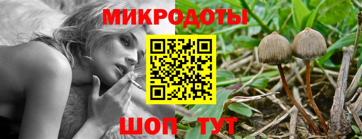 Псилоцибиновые грибы MAGIC MUSHROOMS  Галлюциногенные грибы ЛСД  Вход с VPN  Белогорск 