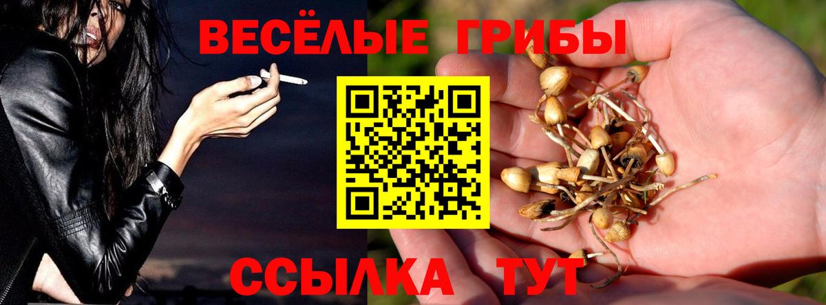 Псилоцибиновые грибы мухоморы Белогорск